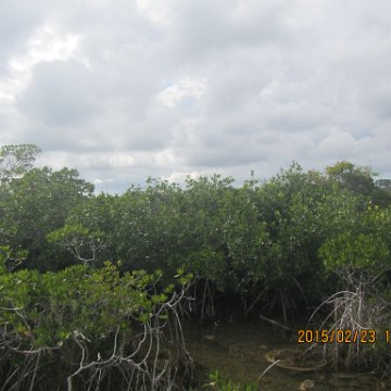 IMG_0522 IMG_0522