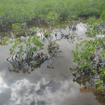 IMG_0523 IMG_0523