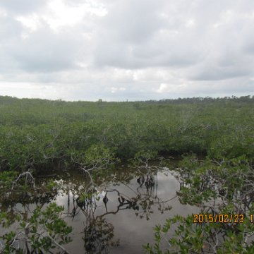 IMG_0524 IMG_0524