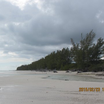 IMG_0528 IMG_0528