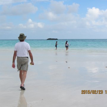IMG_0530 IMG_0530