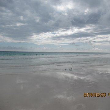 IMG_0535 IMG_0535