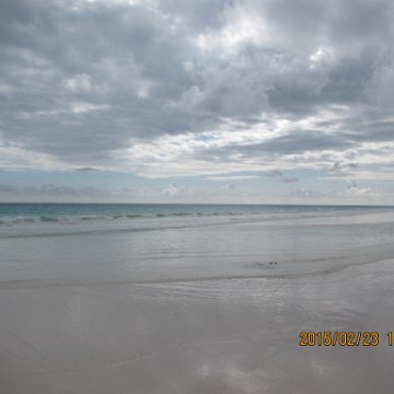 IMG_0536 IMG_0536