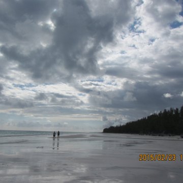 IMG_0541 IMG_0541