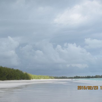 IMG_0542 IMG_0542