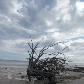 IMG_0543 IMG_0543