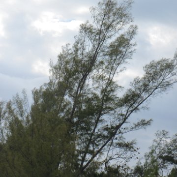 IMG_0544 IMG_0544