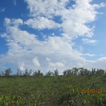 IMG_0551 IMG_0551
