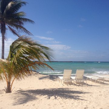 IMG_6389 IMG_6389