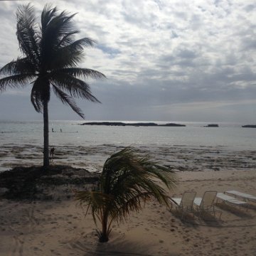 IMG_6437 IMG_6437