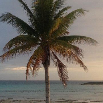 IMG_6441 IMG_6441