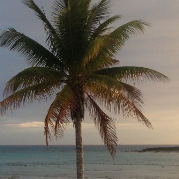 IMG_6443 IMG_6443