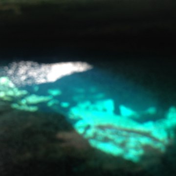 IMG_6458 IMG_6458