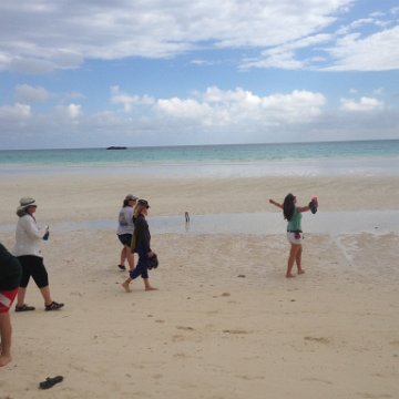 IMG_6475 IMG_6475