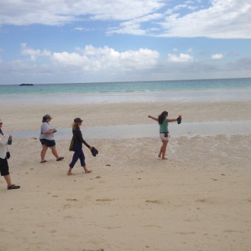 IMG_6476 IMG_6476