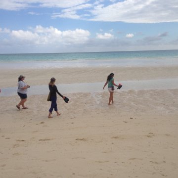 IMG_6477 IMG_6477