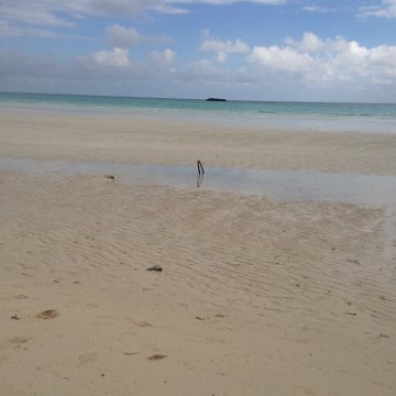 IMG_6483 IMG_6483