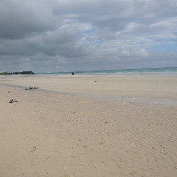 IMG_6484 IMG_6484