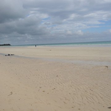 IMG_6485 IMG_6485