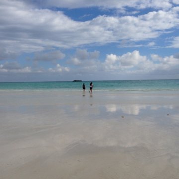 IMG_6502 IMG_6502