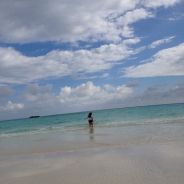 IMG_6504 IMG_6504
