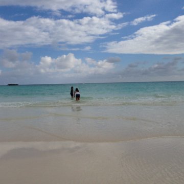 IMG_6505 IMG_6505