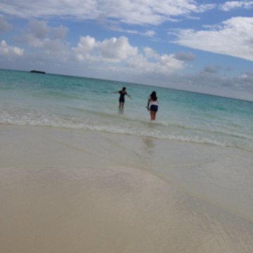 IMG_6506 IMG_6506