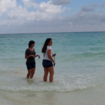 IMG_6508 IMG_6508