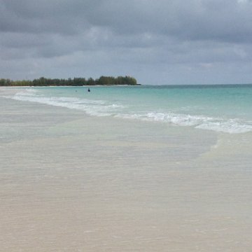 IMG_6520 IMG_6520