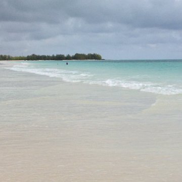 IMG_6521 IMG_6521
