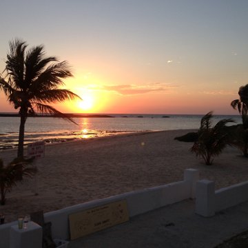 IMG_6567 IMG_6567