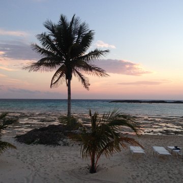 IMG_6573 IMG_6573