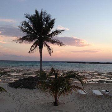 IMG_6574 IMG_6574