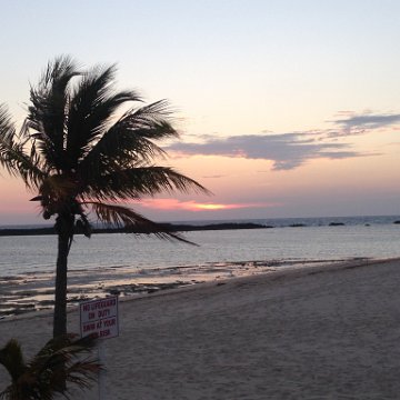 IMG_6576 IMG_6576