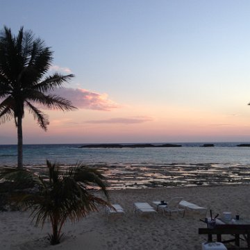 IMG_6577 IMG_6577