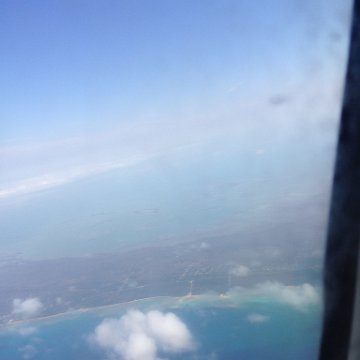 IMG_6595 IMG_6595