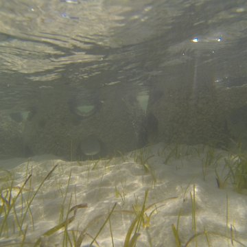 G0010122 G0010122