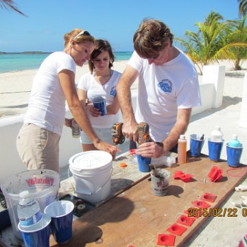 IMG_0487 IMG_0487