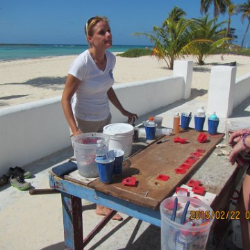 IMG_0488 IMG_0488