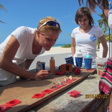 IMG_0490 IMG_0490