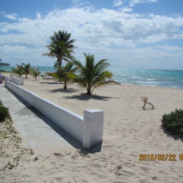 IMG_0491 IMG_0491