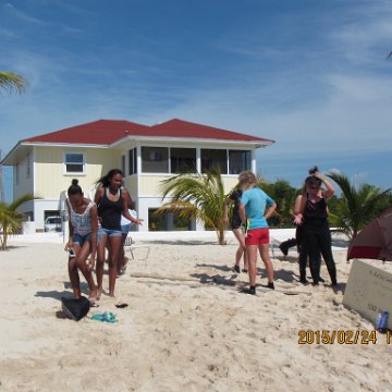 IMG_0594 IMG_0594