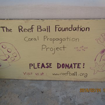 IMG_0598 IMG_0598