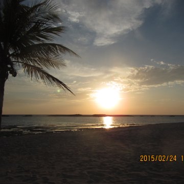 IMG_0602 IMG_0602