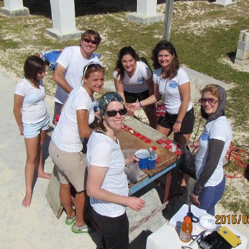 Img_0484 Img_0484