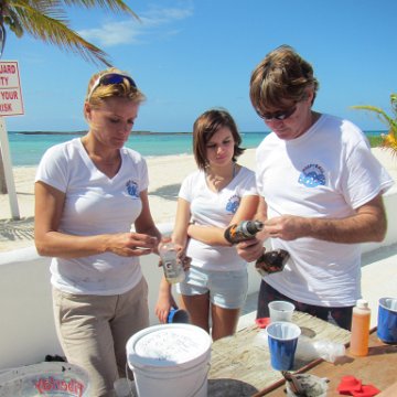 Img_0486 Img_0486