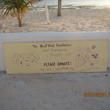 Img_0599 Img_0599