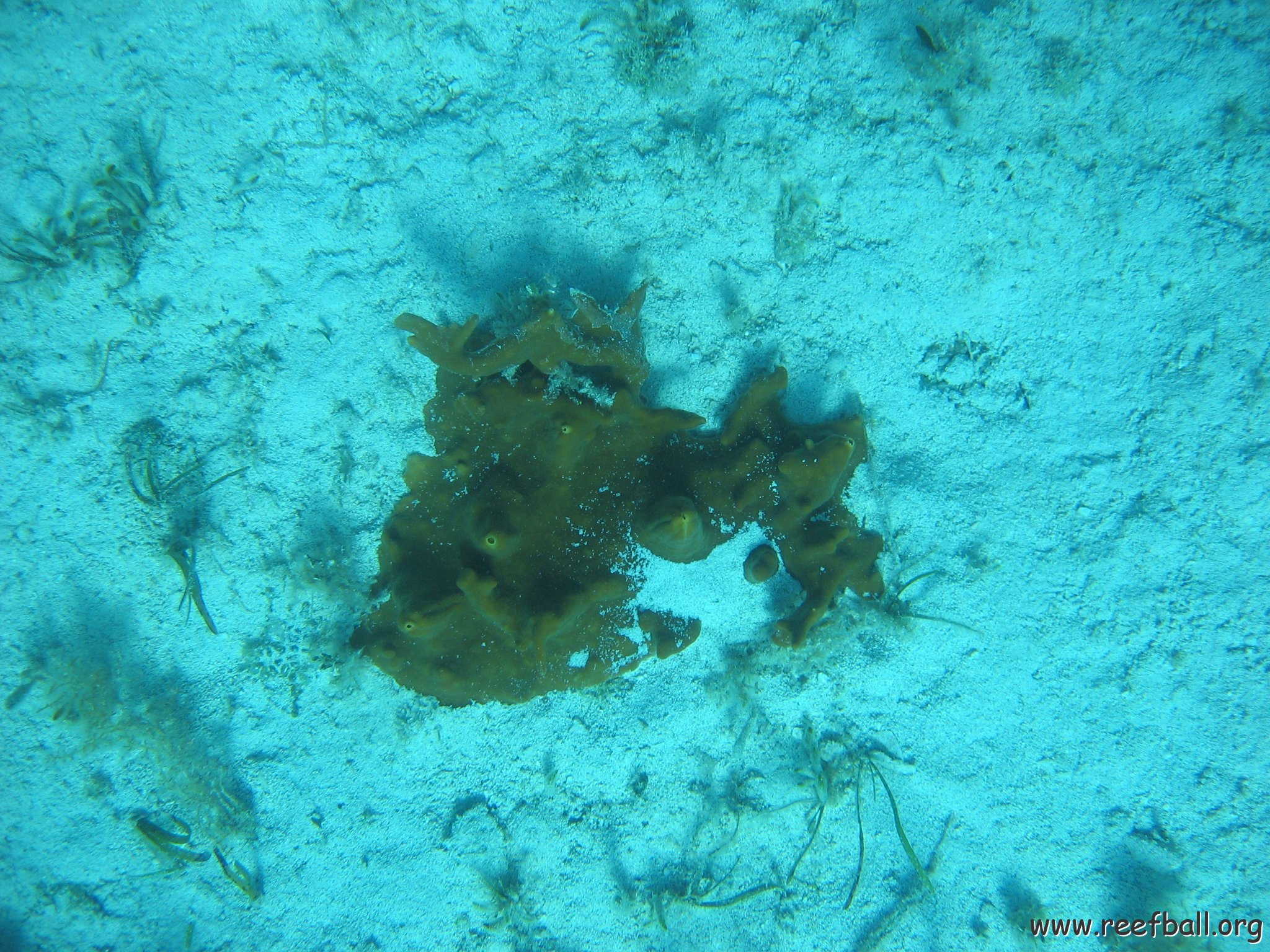bahamas 122
