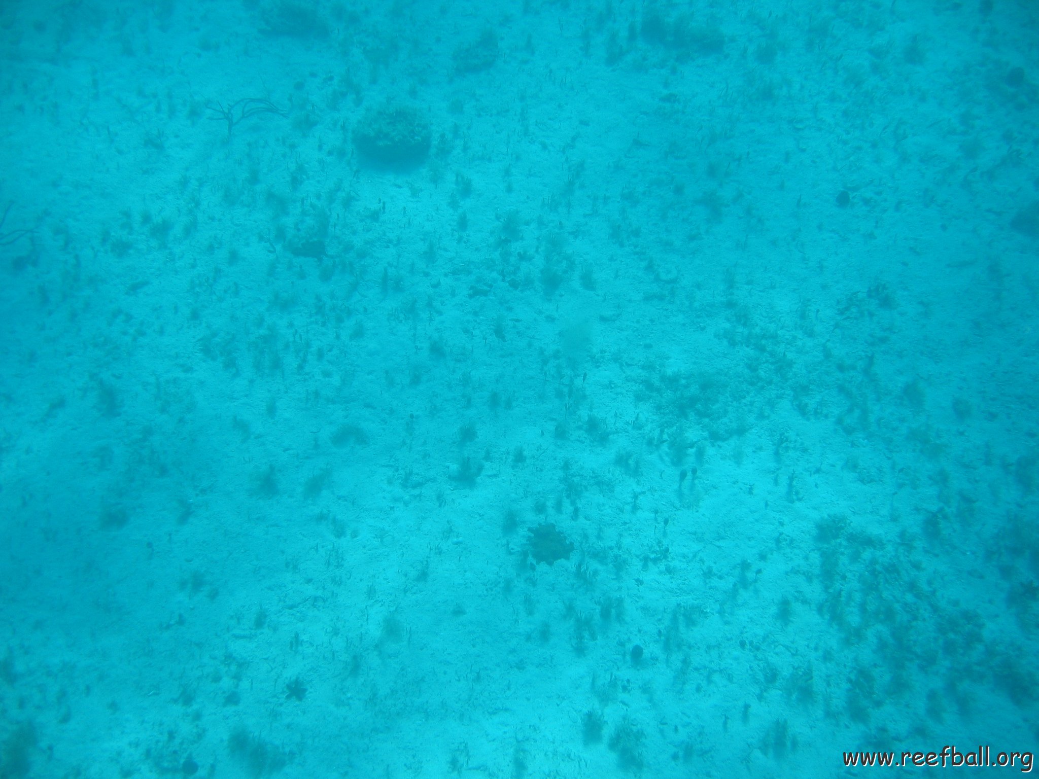 bahamas 126