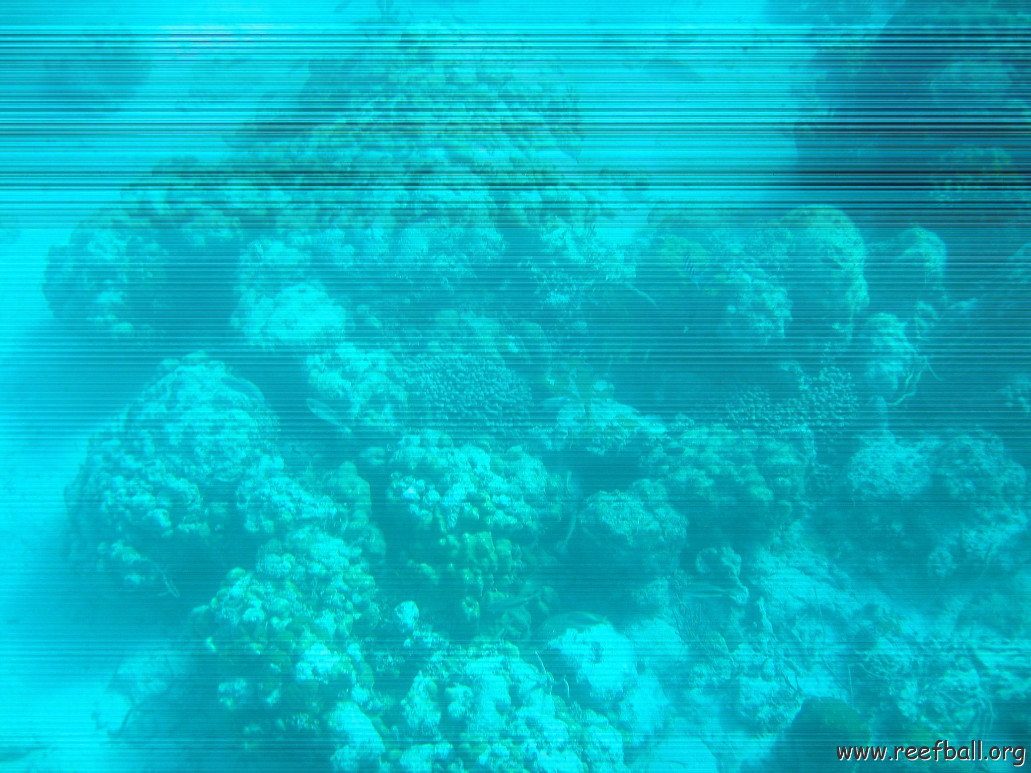 bahamas 132